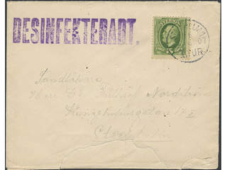 Sweden. Facit 52 cover , 5 öre on local cover sent within STOCKHOLM 1.TUR 18.9.1907. …