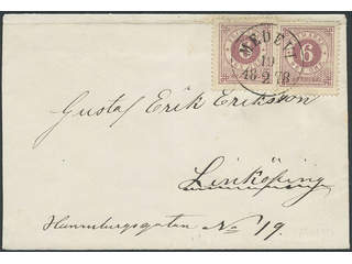 Sweden. Facit 20k on cover, 2x6 öre red-lilac on cover sent from MEDEVI 19.2.1878 to …