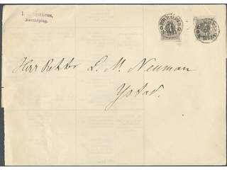 Sweden. Facit 42d cover , 2×4 öre on 5-fold newspaper banner sent from NORRKÖPING …