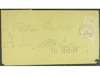 Sweden. Official Facit Tj4e , 6 öre on cover sent from SUNNE 23.11.1881 to Emtervik. …